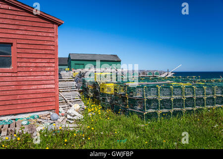 Boîte de sel maisons et étapes de pêche colorés avec des casiers à homard dans le village de Cow Head, Terre-Neuve et Labrador, Canada. Banque D'Images