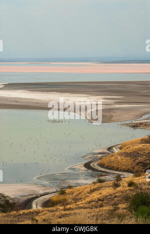 Andscape verticale du lac Magadi avec des flamants roses et de sel/dépôts miniers sur la rive. Les rayons du soleil. Le Kenya, l'Afrique. Banque D'Images