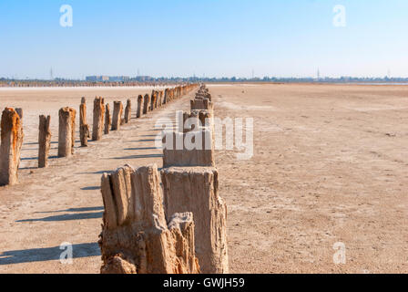 * * Pétrifié sur la rive de la lac salé, Kuyalnik, Ukraine. Le réchauffement climatique, changement climatique Banque D'Images