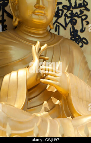 Détail de l'enseignement sur le mudra Bouddha assis statue à la pagode de la paix mondiale, Pokhara, Népal Banque D'Images