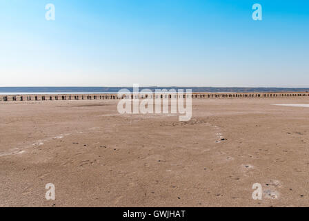 * * Pétrifié sur la rive de la lac salé, Kuyalnik, Ukraine. Le réchauffement climatique, changement climatique Banque D'Images