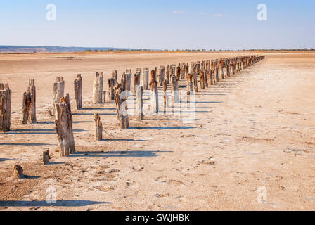 * * Pétrifié sur la rive de la lac salé, Kuyalnik, Ukraine. Le réchauffement climatique, changement climatique Banque D'Images