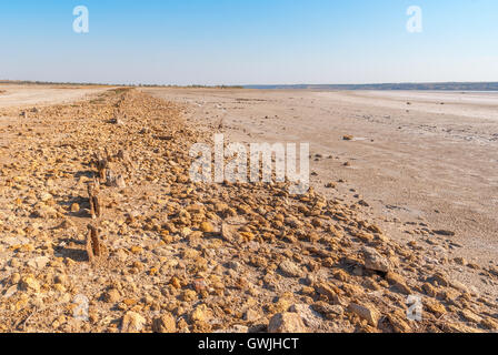 * * Pétrifié sur la rive de la lac salé, Kuyalnik, Ukraine. Le réchauffement climatique, changement climatique Banque D'Images