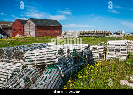 Boîte de sel maisons et étapes de pêche colorés avec des casiers à homard dans le village de Cow Head, Terre-Neuve et Labrador, Canada. Banque D'Images