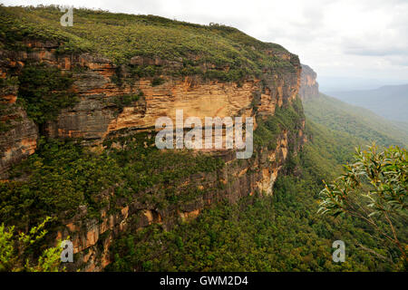 Décor dans les Blue Mountains, Australie. Banque D'Images