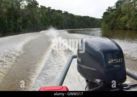 Moteur hors bord sur un bateau à moteur à un marais à La Nouvelle-Orléans. Banque D'Images