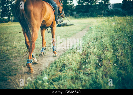 Brown girl riding a horse sur pré vert, place pour le texte Banque D'Images