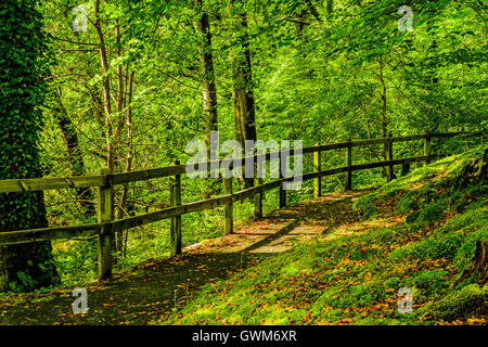 Sentier du lac sur la rivière Brathay juste au-dessus du village de Clappersgate dans le Parc National du Lake District, Cumbria Banque D'Images