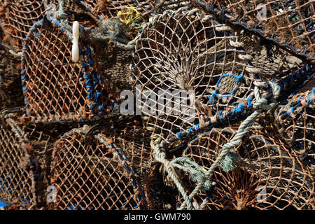 Des cages et des filets de pêche au crabe Banque D'Images