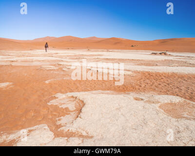 Homme seul marche sur le désert du Namib, Namibie. Banque D'Images