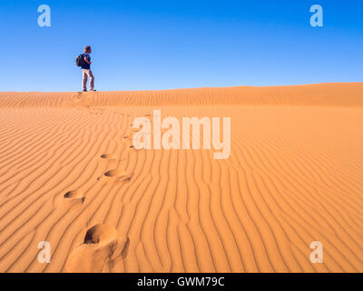 Homme seul marche sur le désert du Namib, Namibie. Banque D'Images