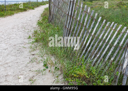 Sandy sentier menant à la plage, et une clôture pour protéger les dunes de sable de Ponte Vedra Beach, Floride Banque D'Images