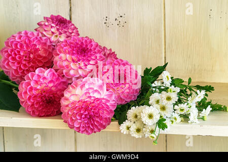 Jolies dahlias produits frais du jardin. Banque D'Images