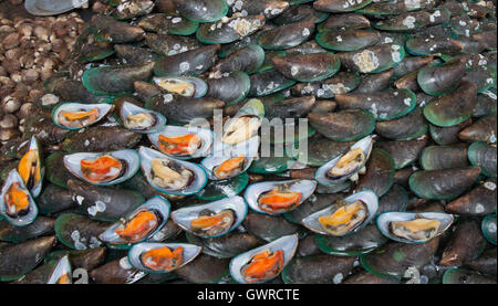 Les moules market stall Bangkok Thaïlande Khlong Toei Banque D'Images