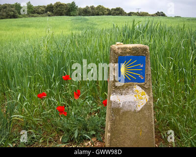 Marqueur de pèlerin à côté de coquelicots rouge dans un champ de blé le long du chemin de Saint Jacques, route Frances Banque D'Images