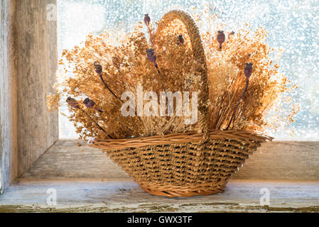 Panier de fleurs séchées sur le rebord d'une vieille fenêtre en bois Banque D'Images