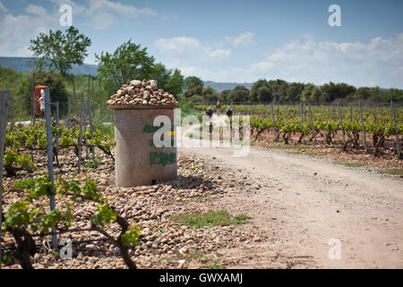 Marqueur de pierre de la vigne le long du chemin de Saint Jacques, route Frances Banque D'Images