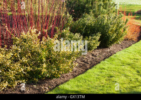 Jardin d'hiver. Jardins de Brightwater, Saxby, Lincolnshire, Royaume-Uni. L'hiver, février 2016. Banque D'Images