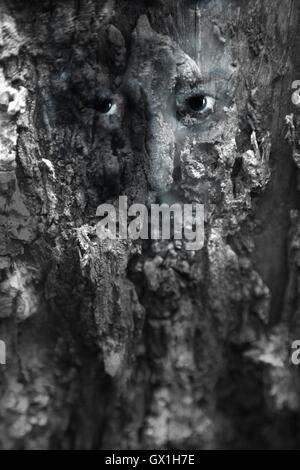 Abstract face dans un tronc d'arbre Banque D'Images