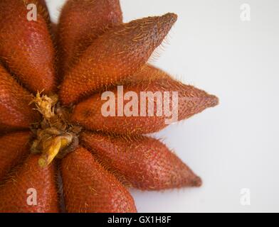 Close up of Salak fruits , Thaïlande Banque D'Images