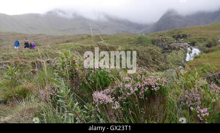 Le Conte de piscines à pied du Black Cuillin près de Glenbrittle Banque D'Images