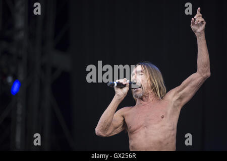 Iggy Pop fonctionne à l'île de White En vedette : Iggy Pop, James Newell Osterberg Où : île de Wight, Royaume-Uni Quand : 11 Juin 2016 Banque D'Images