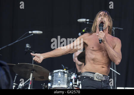 Iggy Pop fonctionne à l'île de White En vedette : Iggy Pop, James Newell Osterberg Où : île de Wight, Royaume-Uni Quand : 11 Juin 2016 Banque D'Images