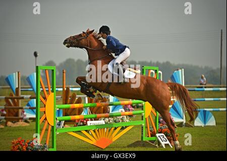 Thame, UK. 15 Sep, 2016. Les chiens et les chevaux ont montré leurs talents à l'Thame Horse Show et le pays, jeudi, à la Sonnaz Show Ground. Des démonstrations d'animaux vivants, sauter, courir et beaucoup de conduite chien montre les accoucheuses traditionnelles. Show Jumping. Credit : Sidney Bruere/Alamy Live News Banque D'Images