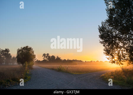 Concept de choix la manière correcte. Lever de soleil sur beau paysage avec séparation du carrefour de deux façons. Croisée des chemins ruraux sur su Banque D'Images