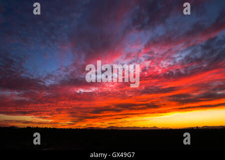 Coucher de soleil spectaculaire avec des nuages colorés dans le désert de l'Arizona Banque D'Images
