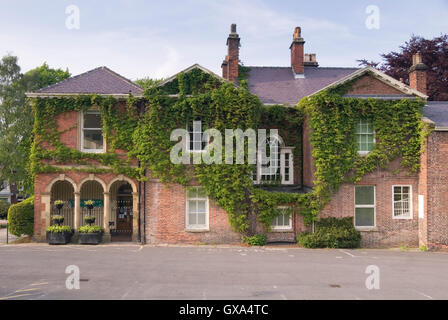 Sheffield, UK - 03 mai : Meersbrook couverte de lierre sur 03.Mai 2016 à Meersbrook Park. Ancienne maison de la collection Ruskin Banque D'Images