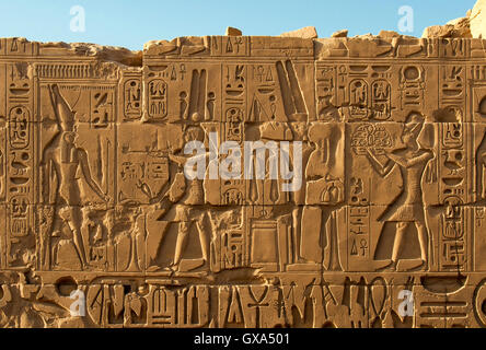 Avec des reliefs muraux d'hiéroglyphes, de la Cité parlementaire d'Amon-Rê, le Temple de Karnak, près de Louxor, Égypte Banque D'Images