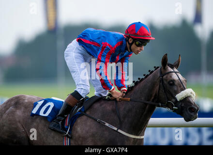 Yankee sportive monté par Jockey Jordanie Vaughan remporte le Scott Bennett Associates Consulting Engineers Handicap Stakes au cours de la première journée de la 2016 William Hill Ayr Gold Cup Festival à Ayr Racecourse. Banque D'Images