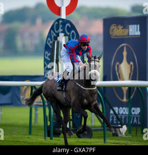 Yankee sportive monté par Jockey Jordanie Vaughan remporte le Scott Bennett Associates Consulting Engineers Handicap Stakes au cours de la première journée de la 2016 William Hill Ayr Gold Cup Festival à Ayr Racecourse. Banque D'Images