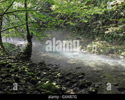 Zeleni vir,canyon,Gorski kotar,Croatie,europe,10 Banque D'Images