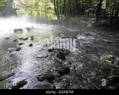 Zeleni vir,canyon,Gorski kotar,Croatie,europe,6 Banque D'Images