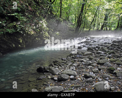 Zeleni vir,canyon,Gorski kotar,Croatie,europe,7 Banque D'Images