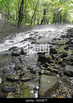 Zeleni vir,canyon,Gorski kotar,Croatie,europe,8 Banque D'Images