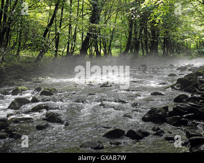 Zeleni vir,canyon,Gorski kotar,Croatie,europe,9 Banque D'Images