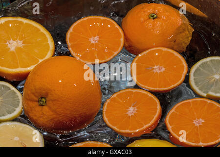 Tranches de citron et d'orange et mandarine sur l'eau Banque D'Images