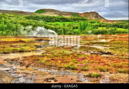 La vallée de Haukadalur active par géothermie en Islande Banque D'Images