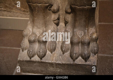 Lion ailé à tête humaine (lamassu). Claw. 883-859 BC. Neo-Assyrian. Règne d'Assurnazirpal. Nimrud (ancienne Kalhu). Banque D'Images
