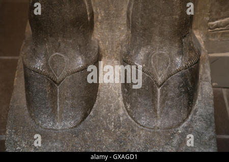 Lion ailé à tête humaine (lamassu). Sabot. 883-859 BC. Neo-Assyrian. Règne d'Assurnazirpal. Nimrud (ancienne Kalhu). Banque D'Images