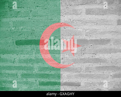 Pavillon de l'Algérie, l'arrière-plan, la texture Banque D'Images