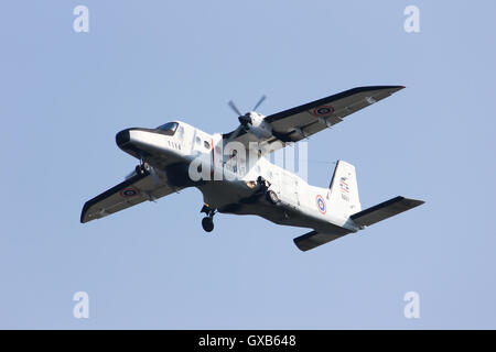 Dornier 228 de la Marine royale thaïlandaise. Banque D'Images