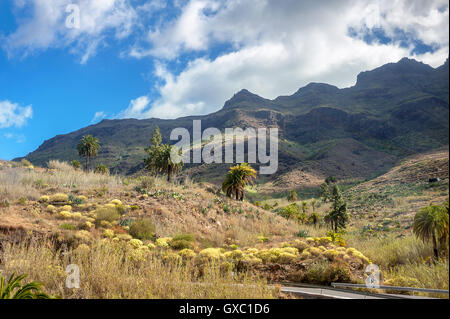 Paysage de montagne entre Maspalomas et San Bartolome de Tirajana. Gran Canaria Banque D'Images