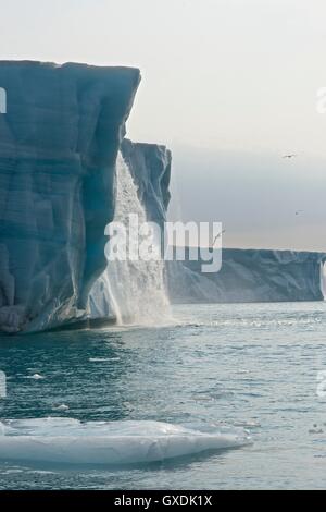 L'eau se déverse de la face du glacier Brasvellbreen sur Nordaustlandet. L'archipel de Svalbard, Norvège. Banque D'Images