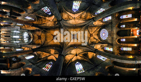 Espagne, Barcelone. Santa María del Mar dans la Ribera. Panorama cousus du plafond. Banque D'Images