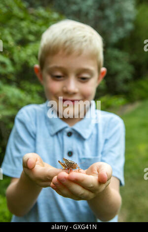 Woman cupping grasshopper in hands Banque D'Images