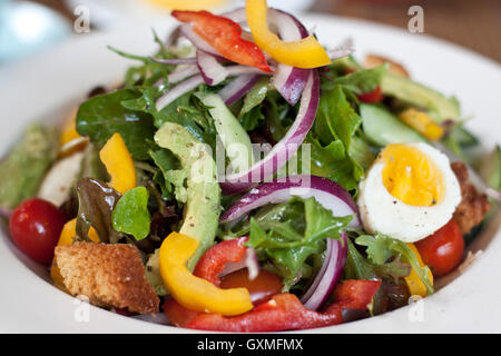 Salade césar avec oeuf, poivrons et avacados Banque D'Images